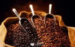 世界精品咖啡产地 科纳咖啡