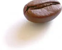 咖啡知识大全 咖啡豆的出油与新鲜度的介绍