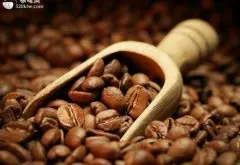 世界精品咖啡豆产区 危地马拉咖啡豆