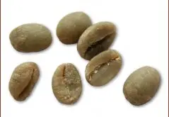 咖啡豆 摩卡咖啡豆图片（Mocha)
