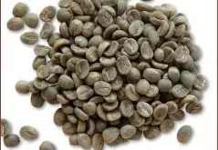 咖啡豆 云南小粒种咖啡生豆图片(Arabica)