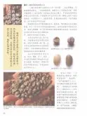 咖啡豆的基础知识 咖啡生豆的挑选与手选技巧