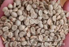 咖啡豆 美洲 哥斯达黎加