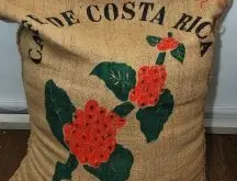 哥斯达黎咖啡 加拉米妮塔精品咖啡豆