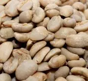 咖啡品种介绍 哈拉尔(Harar)