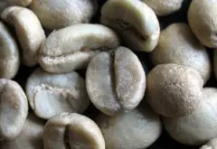 质量上乘的尼加拉瓜咖啡豆