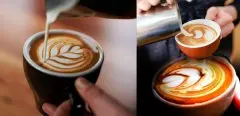 咖啡拉花技术 郁金香咖啡拉花方法