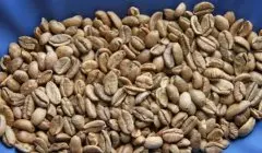 中国的精品咖啡豆 海南产利比瑞卡咖啡豆