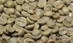 咖啡精品学 微距下的咖啡豆