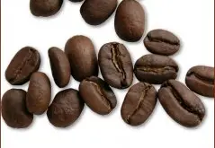 牙买加咖啡豆 蓝山咖啡豆图片