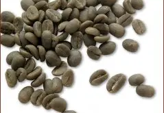 咖啡精品学 博邦咖啡豆图片