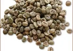 咖啡豆图片 老挝中粒咖啡豆图片