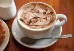 日本拿铁咖啡拉花现逼真猫咪图案