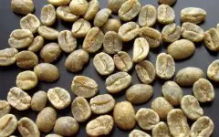 精品咖啡豆介绍 哥伦比亚SUPREMO级咖啡生豆