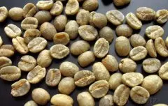 精品咖啡豆介绍 肯尼亚咖啡生豆