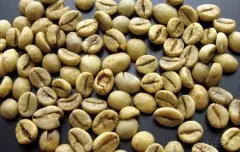 精品咖啡豆介绍 印尼爪哇罗布斯塔生豆