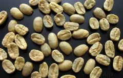 精品咖啡豆介绍 古巴马拉戈日皮咖啡象豆