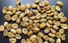 精品咖啡豆介绍 印尼苏拉维卡罗西咖啡生豆