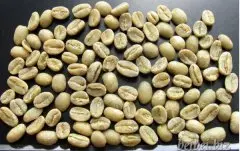 精品咖啡学 埃塞尔比亚耶加雪啡咖啡生豆