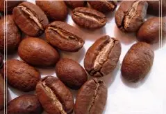 咖啡豆 精选水洗皇家罗布斯塔咖啡豆