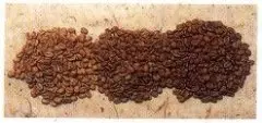 精品咖啡学 关于咖啡豆的资料