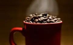 咖啡入门基础常识 咖啡的出油与新鲜度