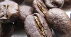 咖啡豆介绍 肯尼亚AA完全水洗处理咖啡豆