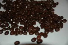 咖啡豆推荐 EL Salvador香格里拉庄园咖啡豆