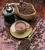 咖啡树种植 精品咖啡的成长过程