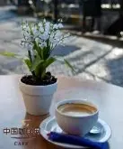 精品咖啡常识 也门摩卡咖啡的简介