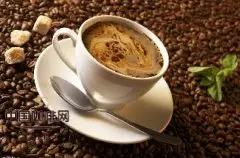 精品咖啡基础常识 分析咖啡主要成分