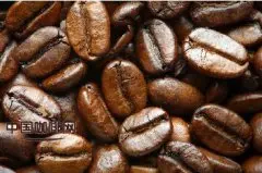 精品咖啡基础常识 选咖啡必读守则