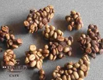 精品咖啡常识 麝香猫咖啡的发展历程