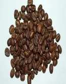 精品咖啡豆烘焙 烘焙坦桑尼亚露布AAA