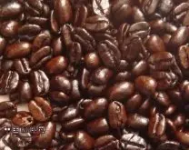 精品咖啡常识 单品咖啡豆代表性比例