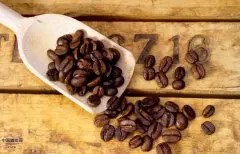 精品咖啡豆的常识 咖啡豆子的区分