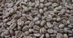 精品咖啡豆常识 埃塞俄比亚咖啡简介
