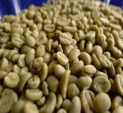精品咖啡学 精品咖啡之耶加雪啡咖啡豆