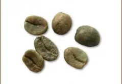 精品咖啡豆种类 哥斯达黎加咖啡豆图片
