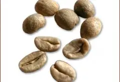 精品咖啡豆种类 爪哇小粒咖啡豆图片
