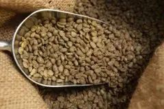 精品咖啡知识  什么是豌豆型咖啡豆？