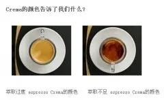 意式浓缩咖啡crema的颜色告诉我们萃取知识
