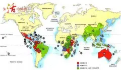 精品咖啡豆生产 全球咖啡产地地图