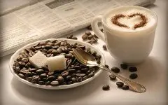 精品咖啡豆基础常识 有机咖啡豆的定义