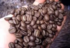 精品咖啡豆的加工 干燥法加工咖啡豆