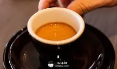意式浓缩咖啡知识 装Espresso的咖啡杯