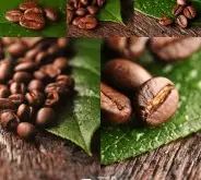 咖啡常识 咖啡烘焙过程中发生的基本化学反应