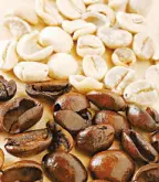 咖啡豆的常识 咖啡烘焙中瑕疵豆介绍