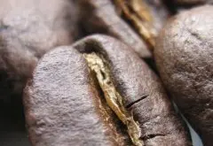 精品咖啡豆烘焙技术 木材烘焙咖啡的好处