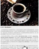 精品咖啡豆咖啡常识 蓝山咖啡